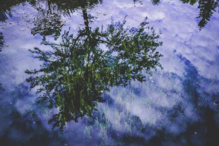 Qui eos repudiandae voluptas vel eveniet consequatur